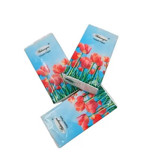 [IX2406648] Aishangni Pocket Tissue Paper
