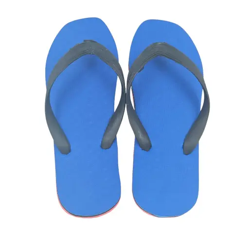 [IX2501064] Ordinary Hawai Slippers 