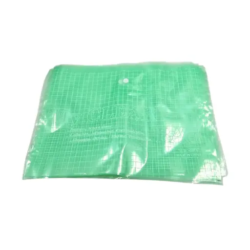[IX2504358] My Clear Bag Checked File Green