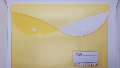 [IX2401698] School File Double Layer Clear Storage Bag